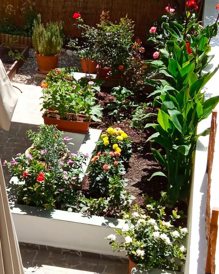 Charming Garden Apartment Rhodes City ห้อง รูปภาพ